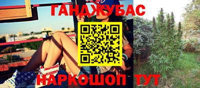 PSILOCYBIN Волгодонск