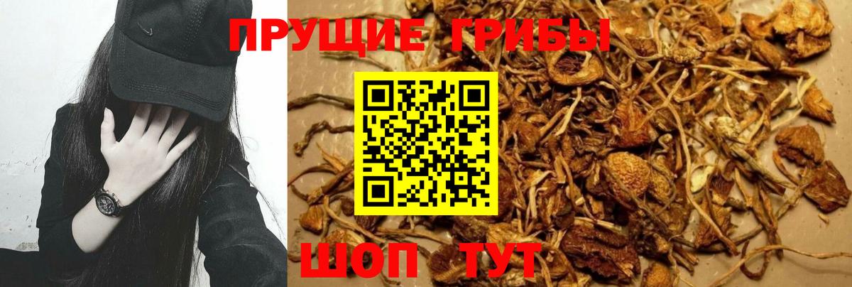 Галлюциногенные грибы MAGIC MUSHROOMS Семёнов