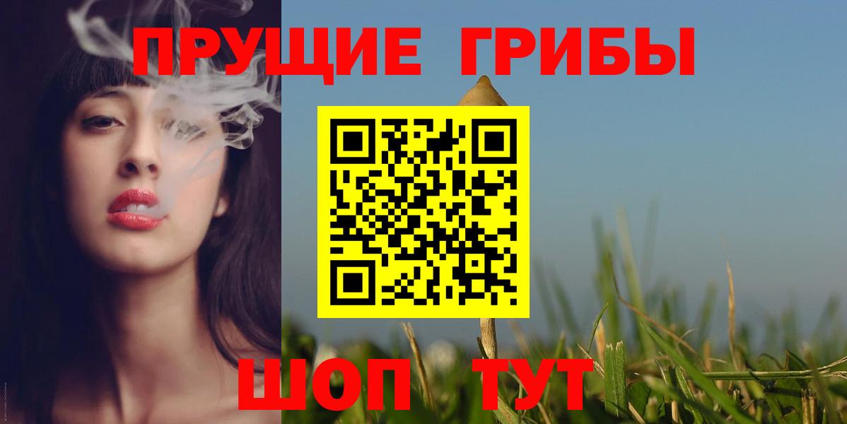 Семёнов  цена   Вход с VPN  Псилоцибиновые грибы GOLDEN TEACHER 