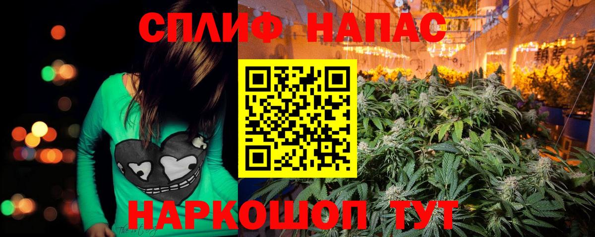 Канабис индика Семёнов